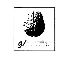 G/MATTER logo