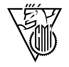 GMI logo