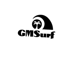 GMSURF logo