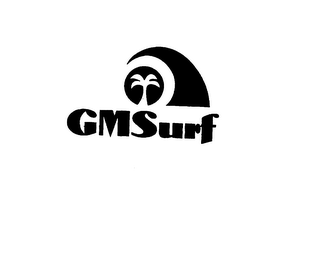 GMSURF logo