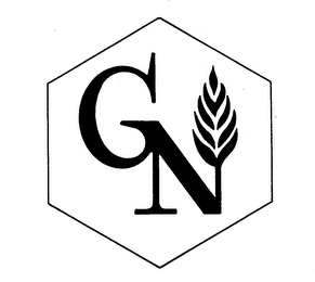 GN logo