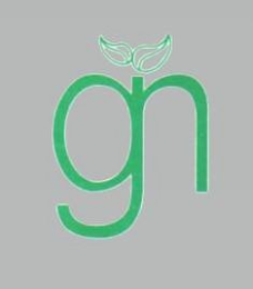 GN logo