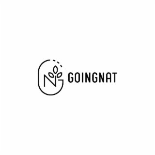GN GOINGNAT logo