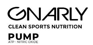 GNARLY CLEAN SPORTS NUTRITION PUMP ATP NITRIC OXIDE logo