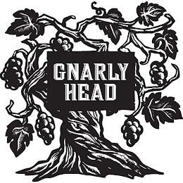 GNARLY HEAD logo