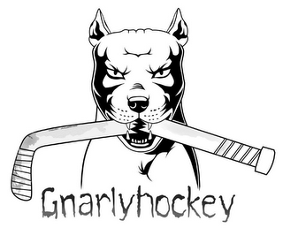 GNARLYHOCKEY logo
