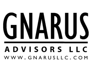 GNARUS ADVISORS LLC WWW.GNARUSLLC.COM logo