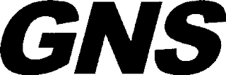 GNS logo