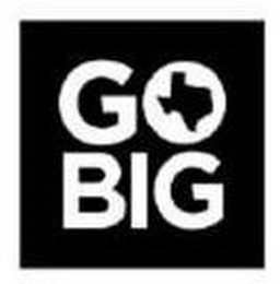 GO BIG logo