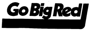 GO BIG RED logo