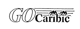 GO CARIBIC logo