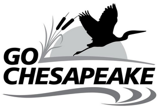 GO CHESAPEAKE logo