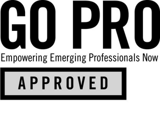 GO PRO EMPOWERING EMERGING PROFESSIONALS NOW APPROVED logo