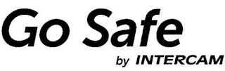 GO SAFE BY INTERCAM logo