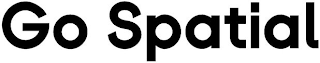GO SPATIAL logo