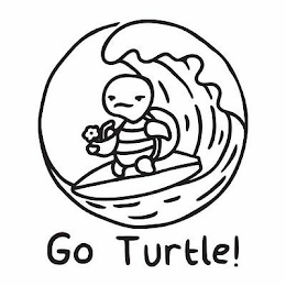 GO TURTLE! logo