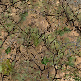 GO WILD CAMO EDGE PROPERTY logo