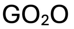 GO20 logo