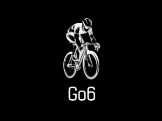 GO6