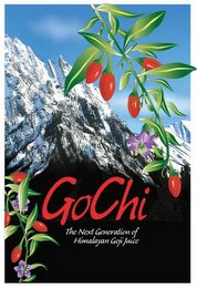 GOCHI THE NEXT GENERATION OF HIMALAYAN GOJI JUICE logo