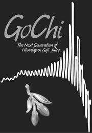 GOCHI THE NEXT GENERATION OF HIMALAYAN GOJI JUICE logo
