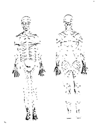 "GOD BLESS YOUR BONES" logo