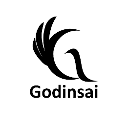 GODINSAI logo