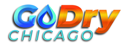 GODRY CHICAGO logo