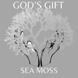 GOD'S GIFT SEA MOSS logo