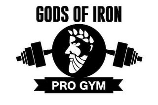 GODS OF IRON PRO GYM logo