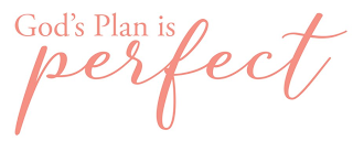 GOD'S PLAN IS PERFECT logo