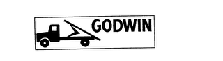 GODWIN logo