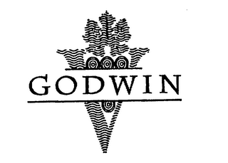 GODWIN logo