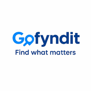 GOFYNDIT FIND WHAT MATTERS logo