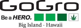 GOGRO BE A HERO. BIG ISLAND HAWAII logo