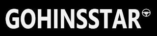 GOHINSSTAR logo