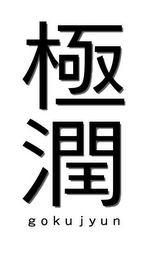 GOKUJYUN logo