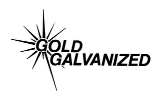 GOLD GALVANIZED logo