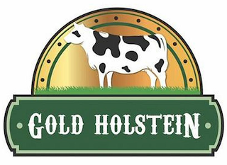 ·GOLD HOLSTEIN· logo