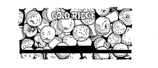 GOLD RIDGE logo