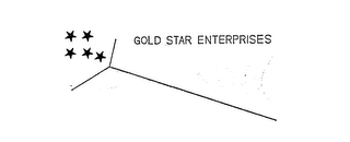 GOLD STAR ENTERPRISES logo