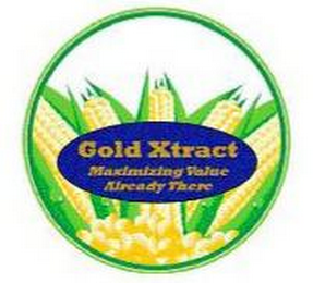 GOLD XTRACT MAXIMIZING VALUE ALREADY THERE logo