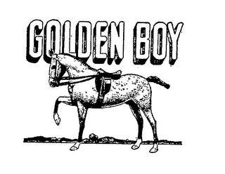 GOLDEN BOY logo