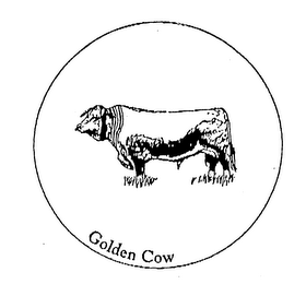 GOLDEN COW logo
