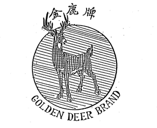 GOLDEN DEER BRAND logo