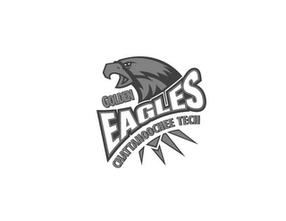 GOLDEN EAGLES CHATTAHOOCHEE TECH logo