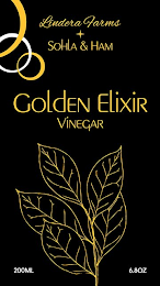 GOLDEN ELIXIR VINEGAR LINDERA FARMS + SOHLA & HAM 200ML 6.8OZ logo