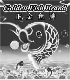 GOLDEN FISH BRAND logo