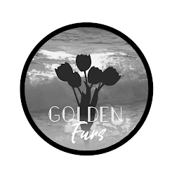 GOLDEN FURS logo