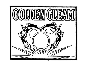GOLDEN GLEAM logo